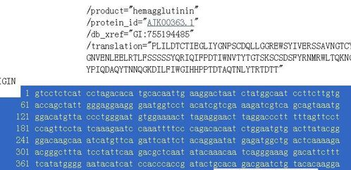 DNASTAR破解版打开基因序列方法1