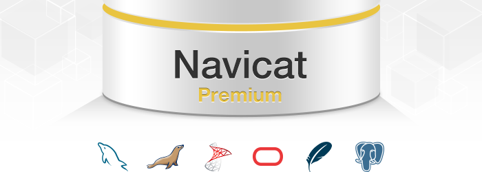 Navicat Premium 15破解版