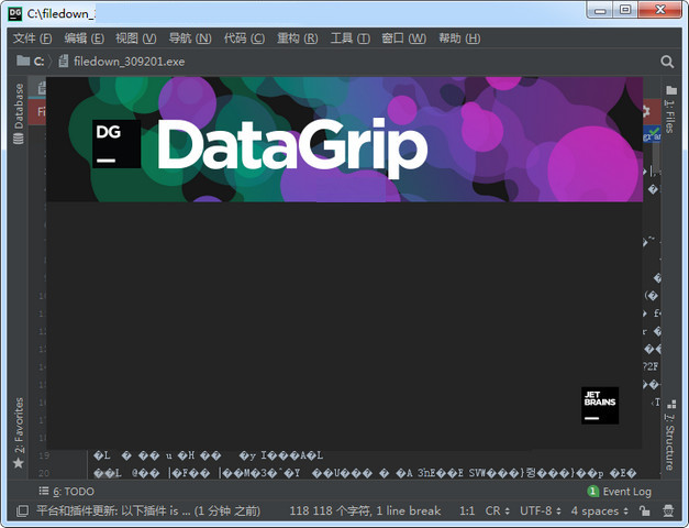 JetBrains DataGrip2021
