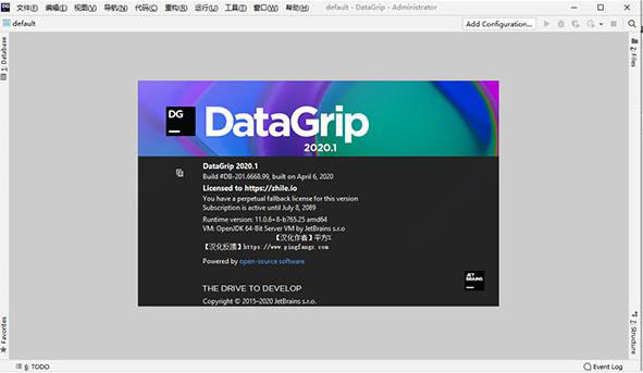 JetBrains DataGrip2021特色
