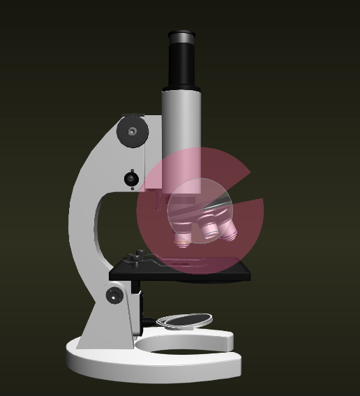 NB生物实验室初中版显微镜实验5