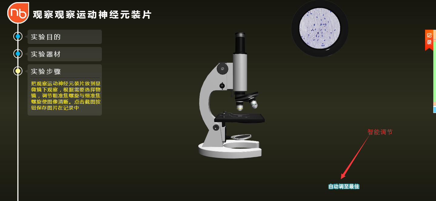 NB生物实验室初中版显微镜实验6