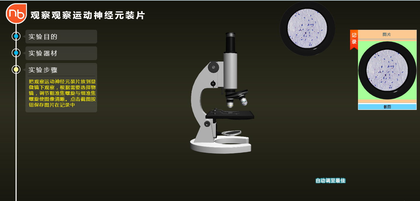 NB生物实验室初中版显微镜实验7