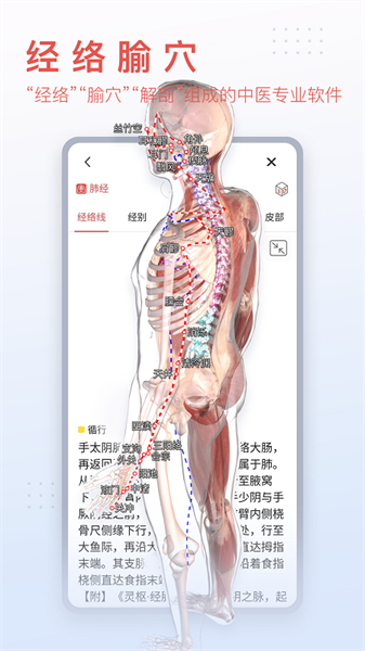 3Dbody解剖安卓版