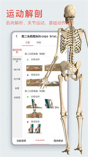 3DBody解剖软件破解版基本介绍