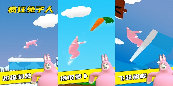 超级疯狂兔子人双人联机版下载