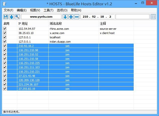 BlueLife Hosts Editor高级版特色