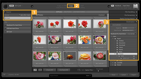 Lightroom如何将照片导入进行编辑、整理和共享3