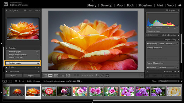 Lightroom如何将照片导入进行编辑、整理和共享5