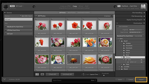 Lightroom如何将照片导入进行编辑、整理和共享4